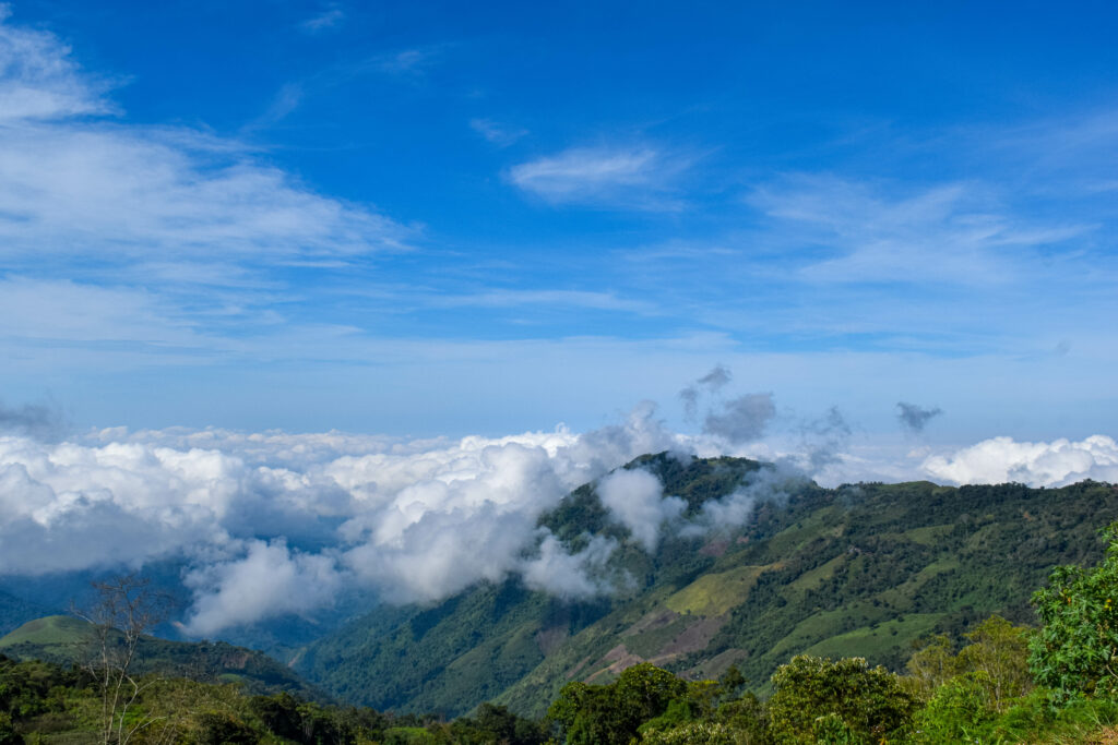 Serene hillside landscape with green slopes above clouds under vivid blue sky nature wallpaper