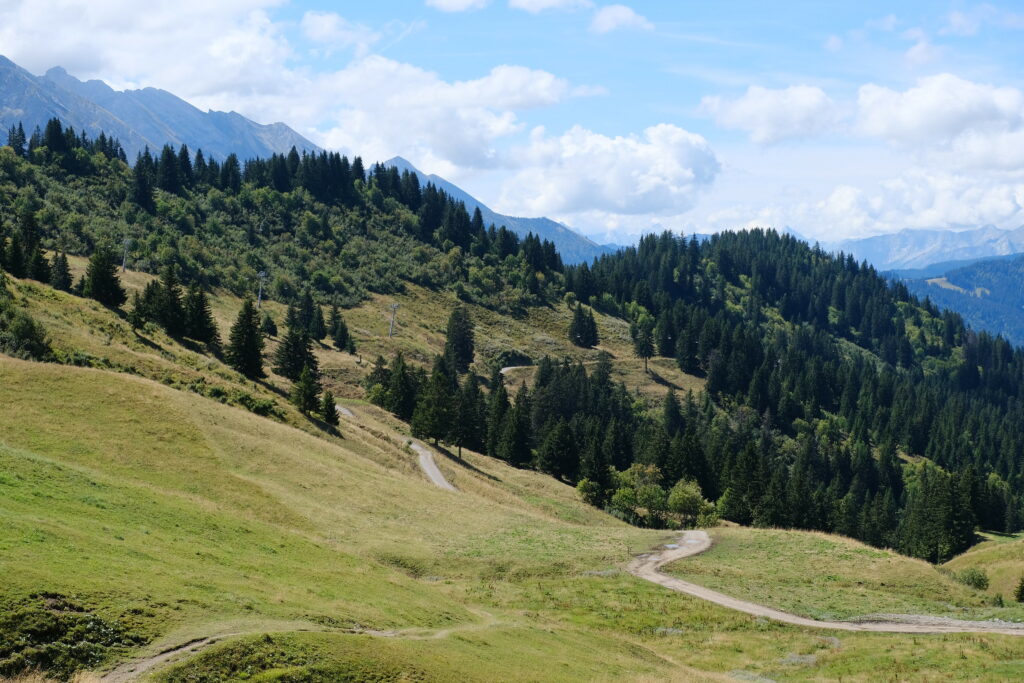 Scenic wallpaper of green grassy slope with tall trees winding path and distant mountains sky