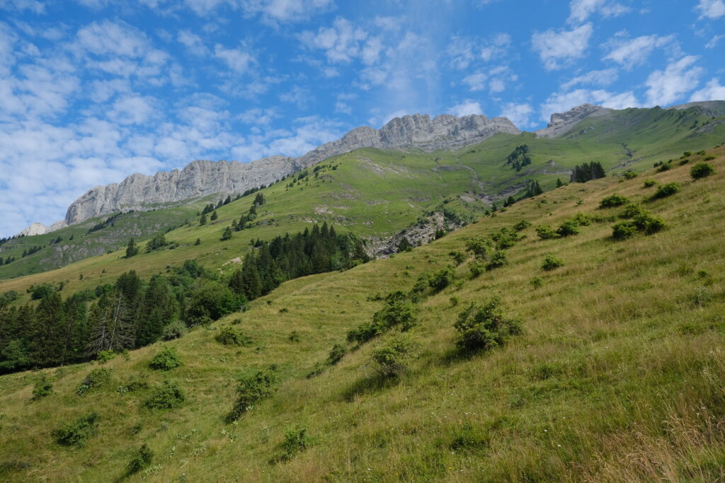 Serene grassy hillside with shrubs lush trees rugged mountains and vibrant blue sky background Wallpaper