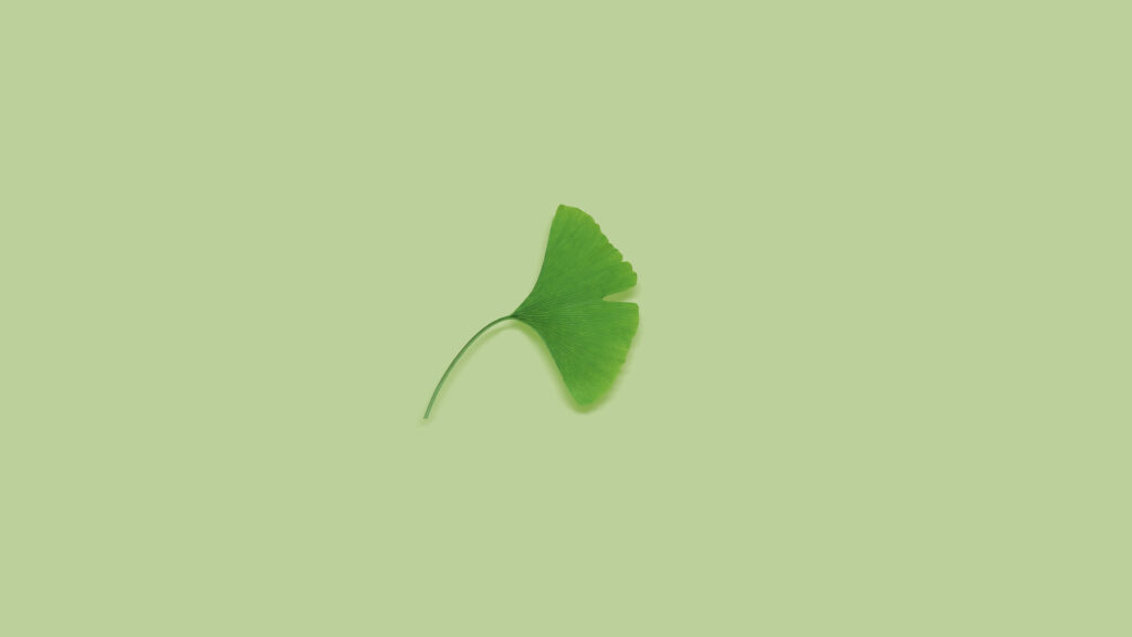 Minimalistic Green Leaf Wallpaper: Calmness & Simplicity Background