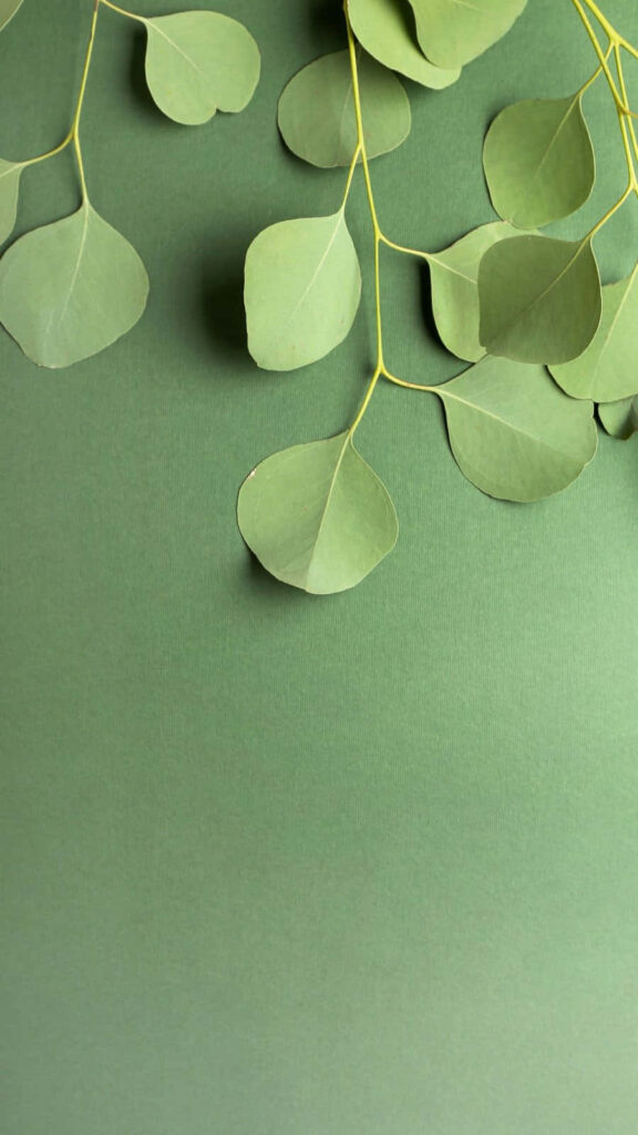 Minimalist Green Leaves Wallpaper for a Serene Natural Look