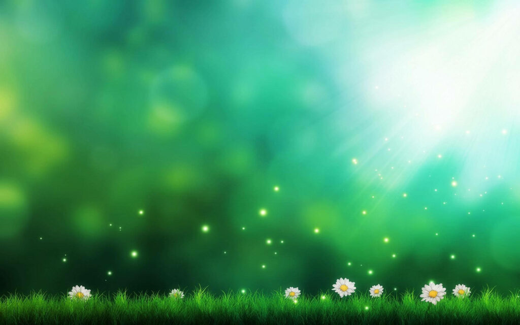 Serene Green Gradient Wallpaper with Daisies and Magical Light Particles