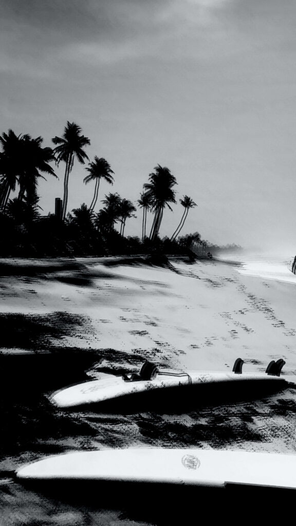 Serene Greyscale Beach Wallpaper with Surfboards and Palm Trees