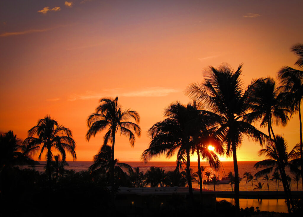 Serene Hawaiian sunset wallpaper with palm tree silhouettes over calm tropical ocean horizon