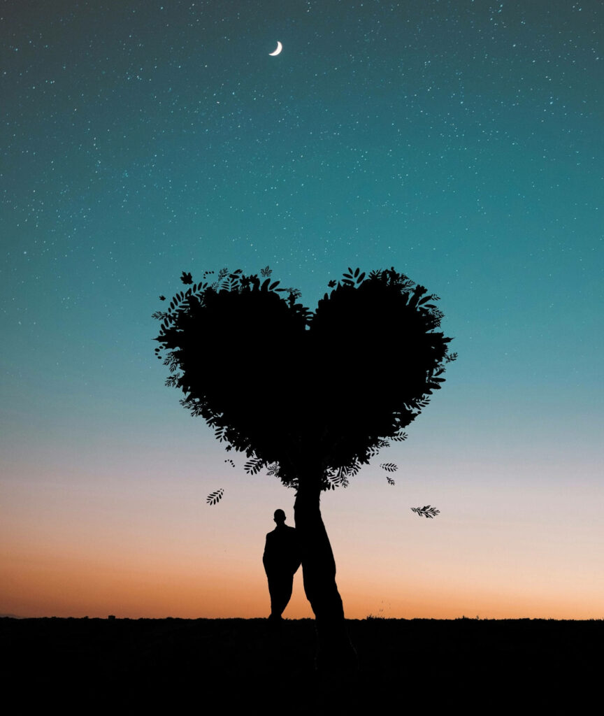 Heart-Shaped Tree Silhouette Under Starry Sky - Calming Wallpaper Background