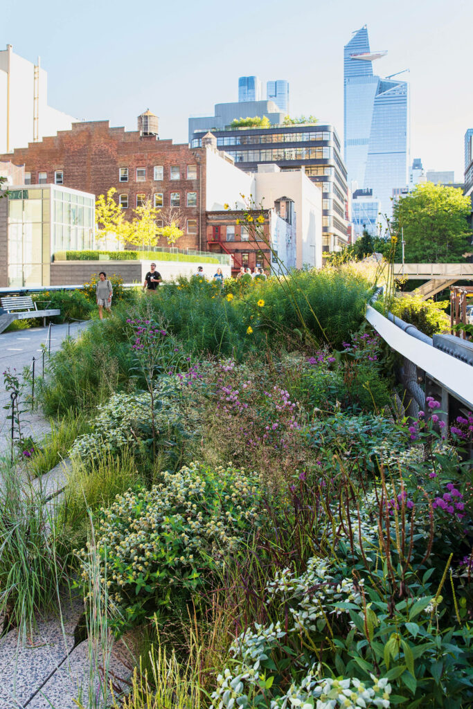Serene High Line Wallpaper: Lush Greenery & Urban Harmony
