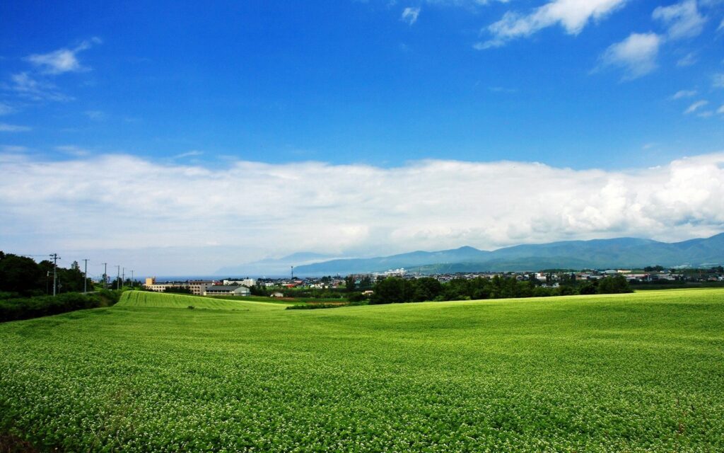Vast green field and Japanese village under clear blue sky with distant mountains peaceful landscape Wallpaper