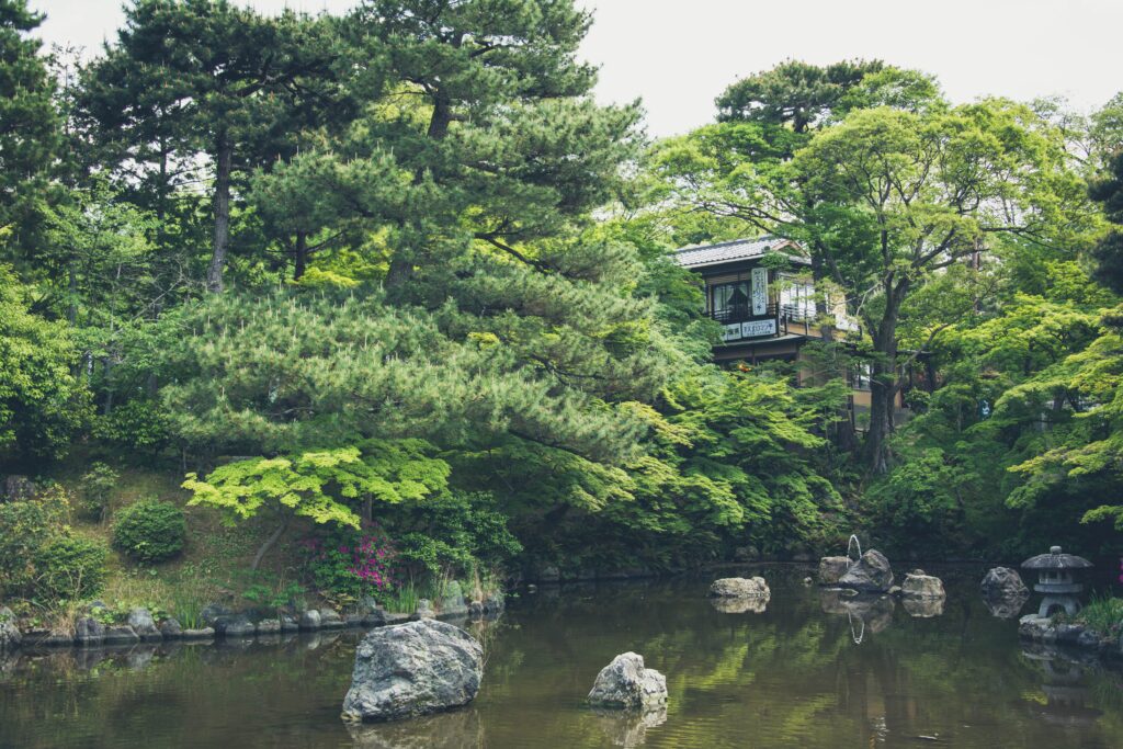 Tranquil Japanese pond with lush greenery and traditional building reflecting serene garden beauty Wallpaper