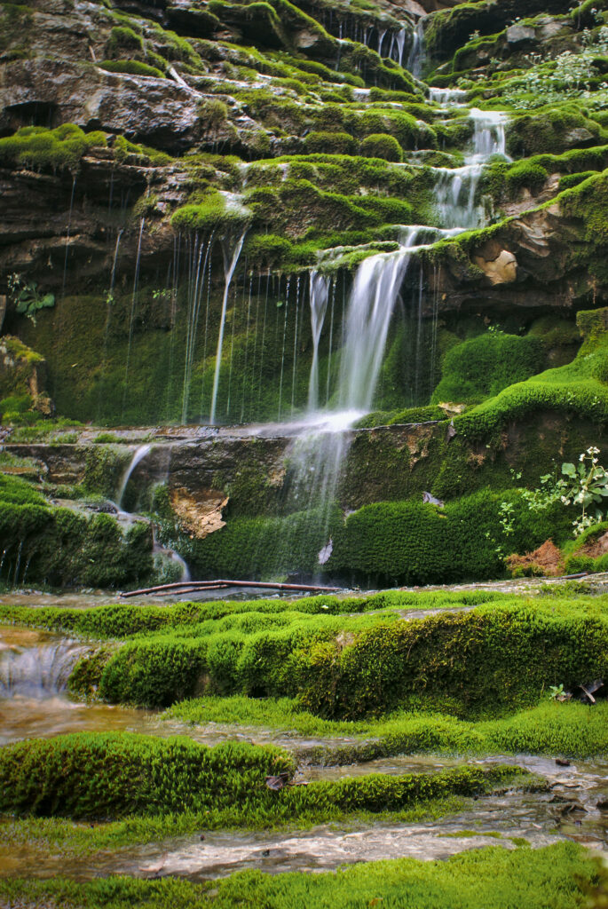 Lush Kentucky Landscape Wallpaper with Cascading Waterfall and Greenery