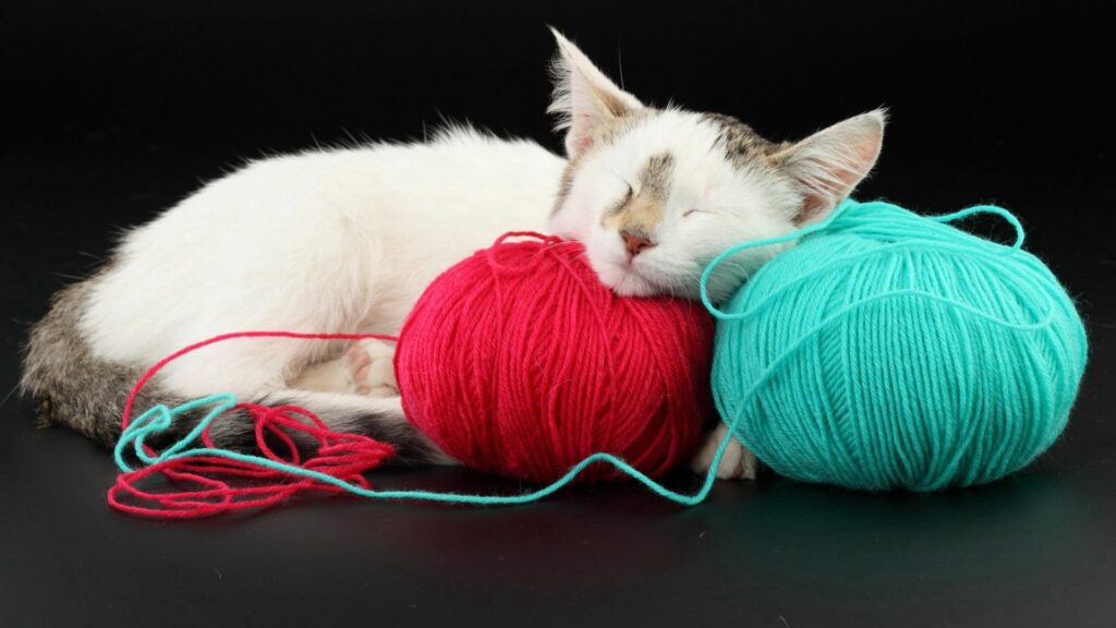 Tranquil Kitten Wallpaper: Peaceful Spotted Cat with Yarn Background