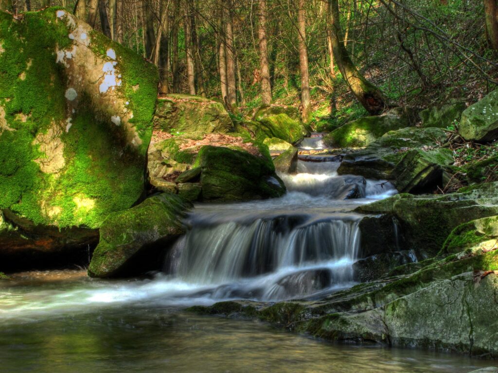 Serene Klein-Pyokhlarn forest stream over mossy rocks with lush greenery and sunlight background Wallpaper