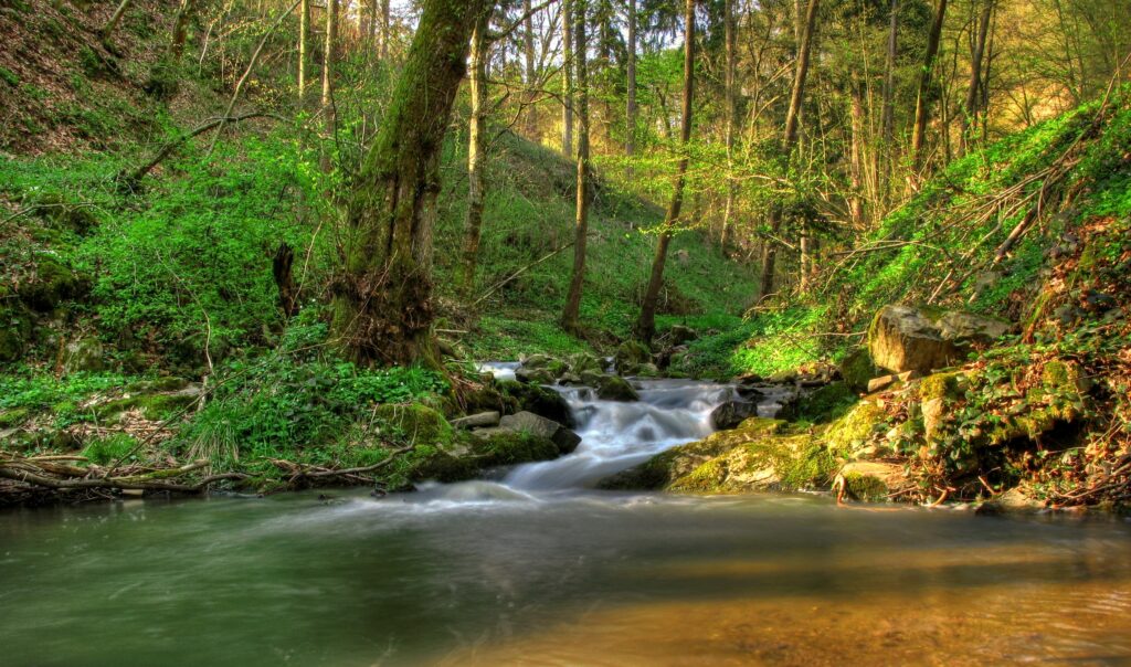 Lush green Klein-Pyokhlarn stream with waterfalls and sunlight filtering through tall trees Wallpaper