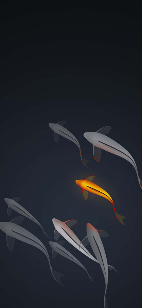 Serene Koi Fish Wallpaper: Tranquil Minimalist Pond Background