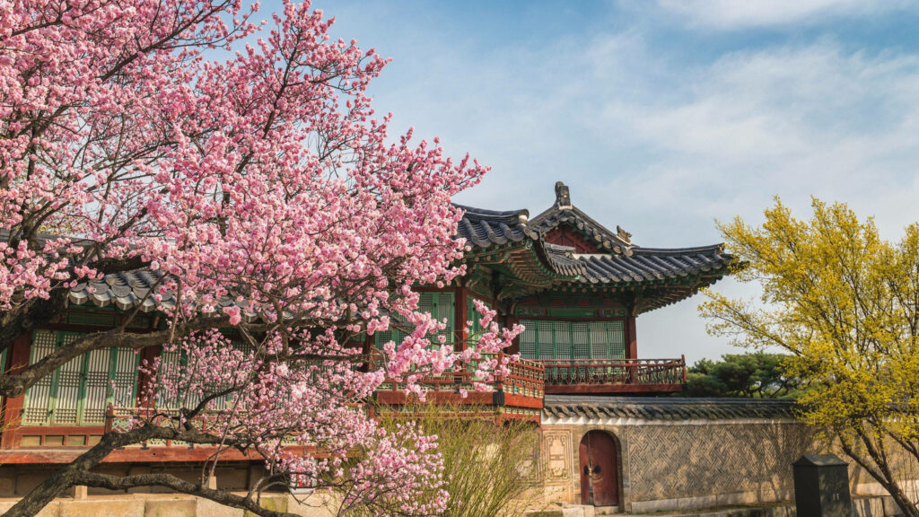 Serene Korean Landmark Wallpaper: Cherry Blossoms & Greenery