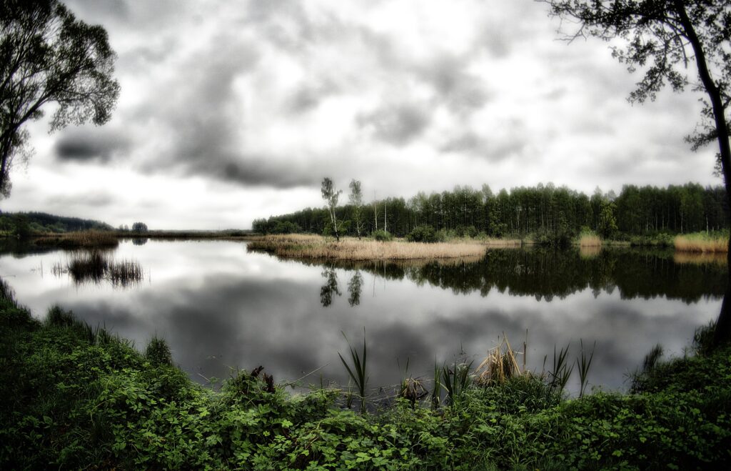 Serene lake with lush green grass and dense trees reflected in calm water under dramatic clouds HDR Wallpaper