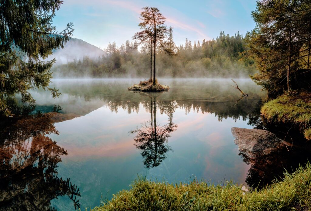 Serene lake landscape with tall tree on island misty water lush grass pink blue sky reflection Wallpaper