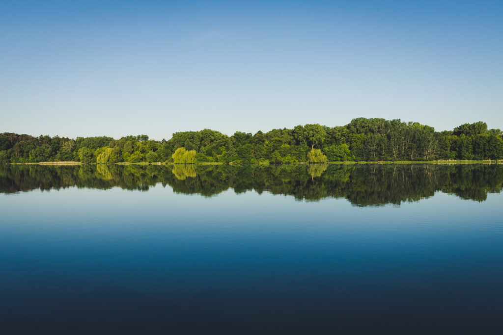 Serene landscape with lush green trees reflected on calm lake under clear blue sky wallpaper background