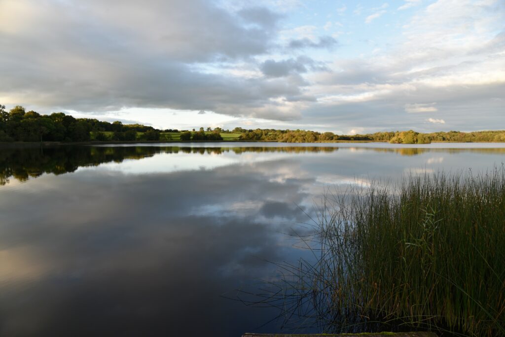 Serene lake reflecting soft clouds surrounded by lush trees peaceful nature wallpaper background
