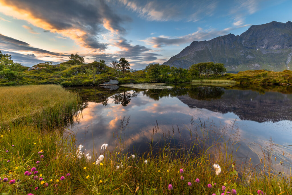 Serene lake reflecting dramatic clouds rugged mountains lush green grass wildflowers landscape wallpaper