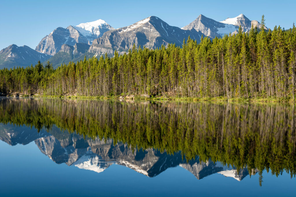 Tranquil lake reflecting evergreen forest and snow-capped mountains under clear blue sky wallpaper