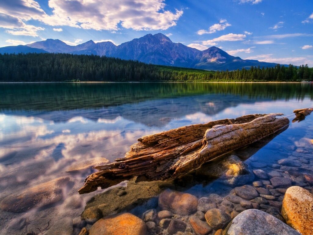 Weathered tree trunk on rocky shore of tranquil lake reflecting sky clouds and forested mountains Wallpaper