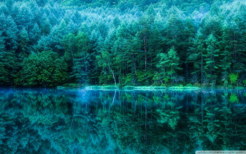 Serene Lake and Lush Forest Wallpaper Background for Peaceful Vibes
