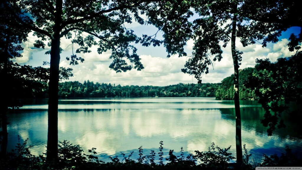 Serene Lake Wallpaper: Lush Hills & Tranquil Reflection Background