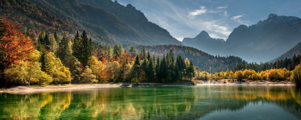 Serene Lake Wallpaper: Lush Pines & Vibrant Autumn Foliage View