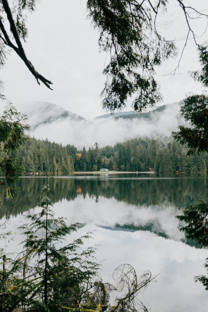 Serene lake with lush forest and misty mountains reflecting calm water nature wallpaper background