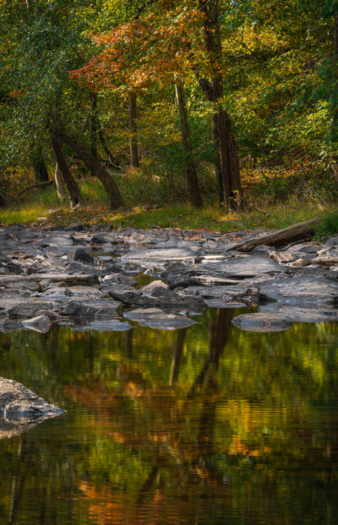 Serene autumn forest lake with smooth stones calm water reflection and soft natural light background Wallpaper