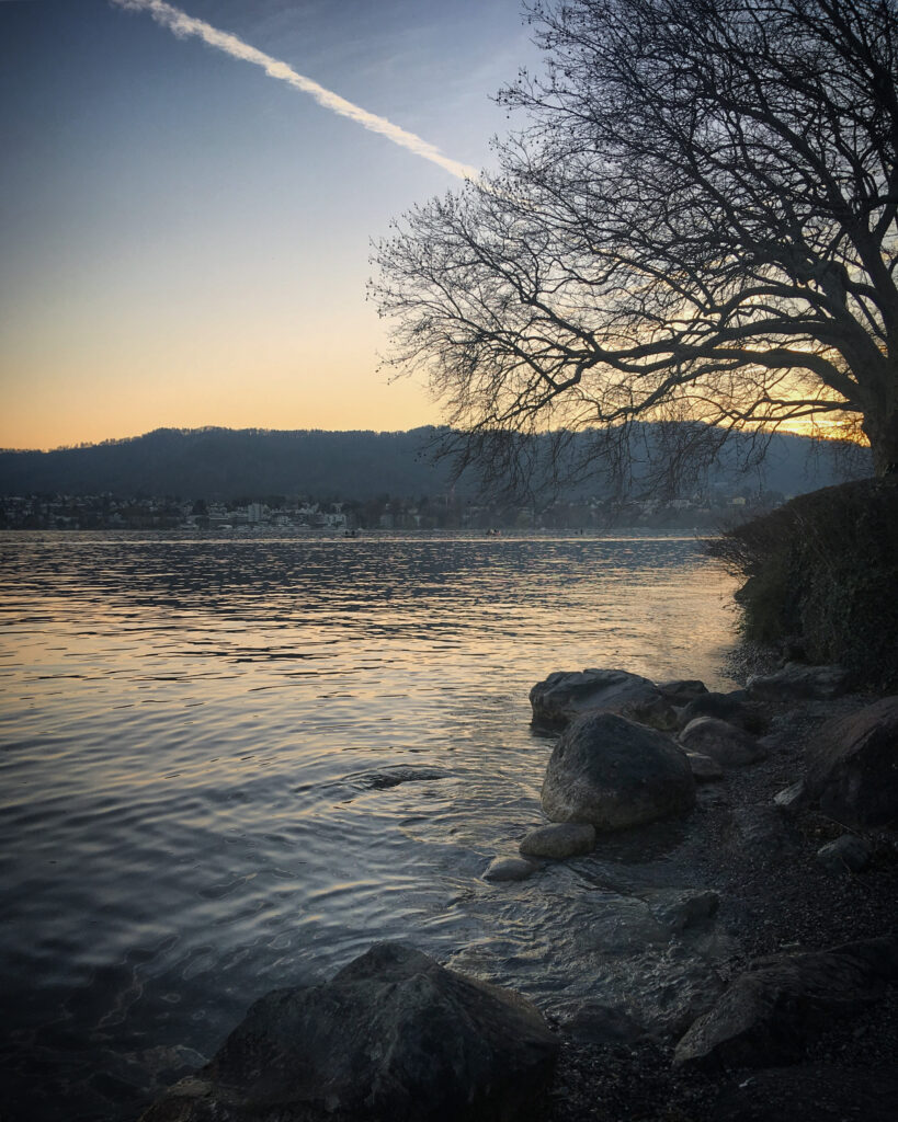 Serene lakeside at dusk with gentle ripples smooth stones and tree branch silhouettes wallpaper