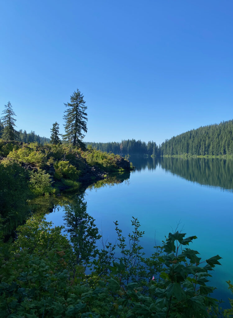 Serene lakeside wallpaper with clear blue water reflecting green trees and dense forest shore