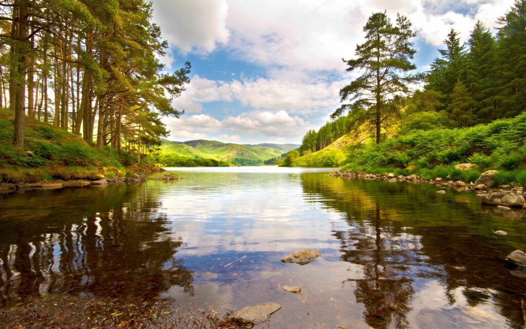 Serene lakeside with clear water reflecting lush green trees under a bright summer sky Wallpaper