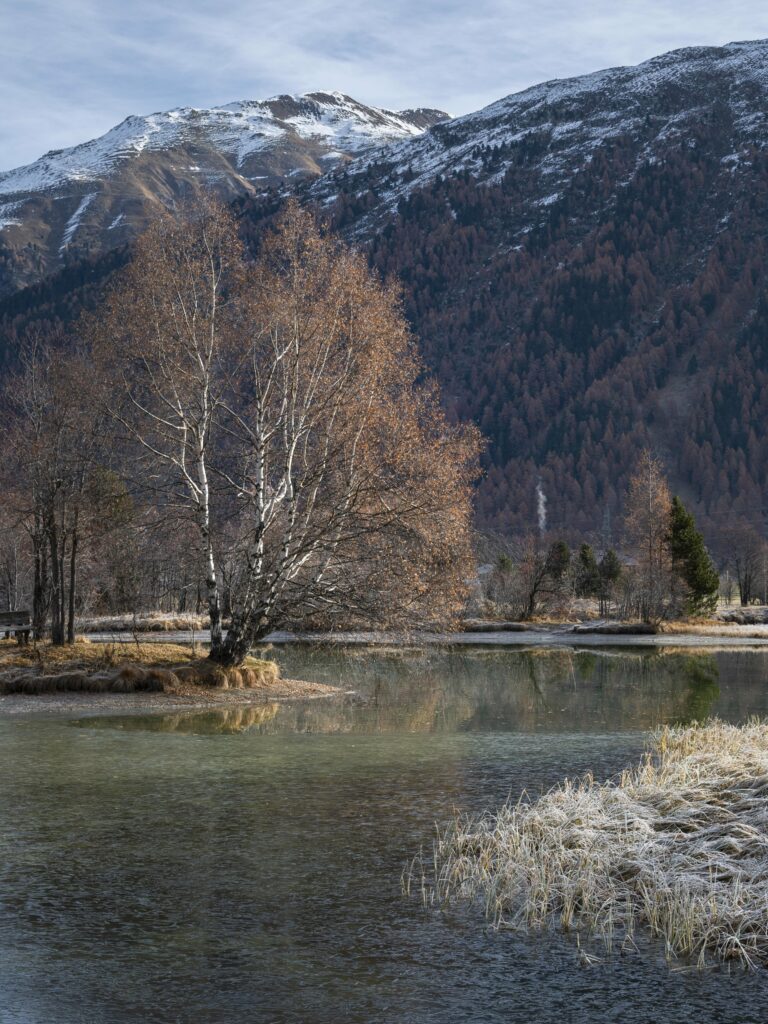 Tranquil lakeside reflecting snow-capped mountain autumn forest and bare trees wallpaper