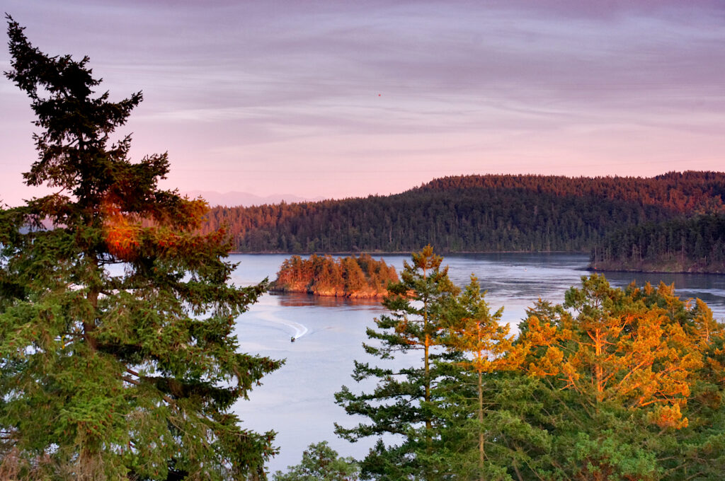 Sunset lakeside wallpaper with evergreen trees boat and island reflecting calm golden water