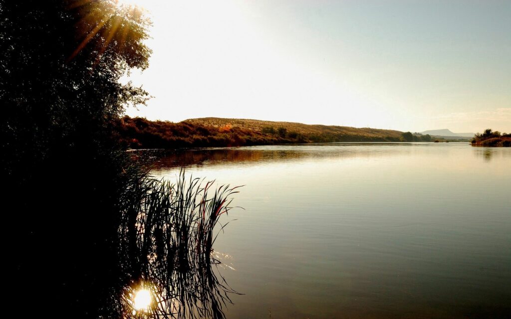 Peaceful lakeside with tall reeds soft sunlight calm reflections gentle shore and distant hills Wallpaper