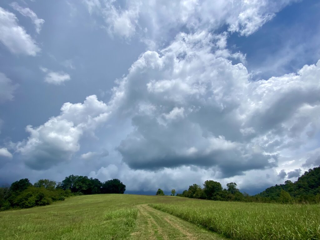 Serene landscape with lush green field winding path under dramatic sky and billowing clouds wallpaper