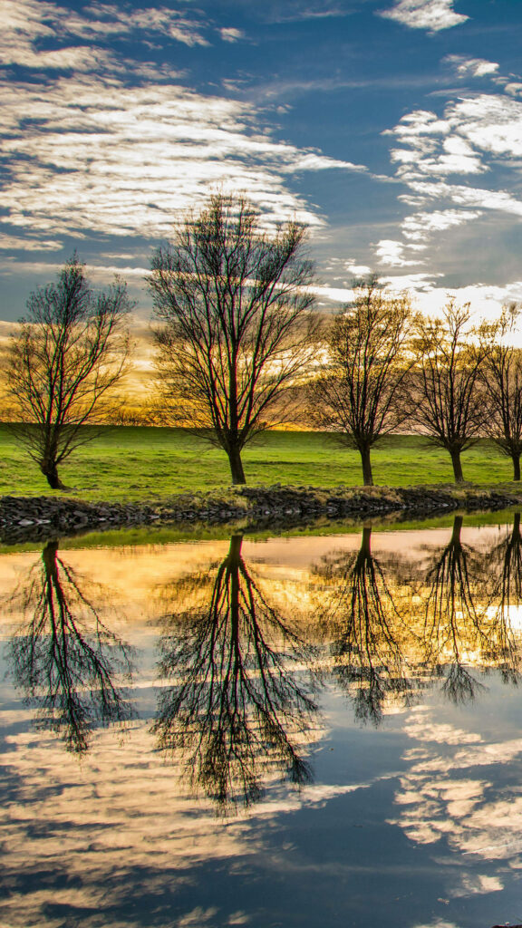 Stunning Samsung Galaxy S7 Edge Wallpaper: Serene Tree Landscape