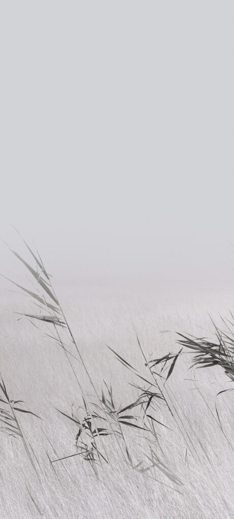 Tranquil Landscape Wallpaper for Xiaomi HyperOS 2 Users
