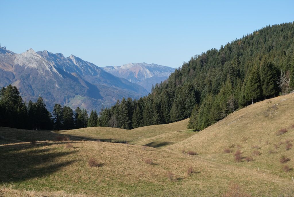 Tranquil landscape with golden grass fields green trees rugged mountains under clear blue sky wallpaper