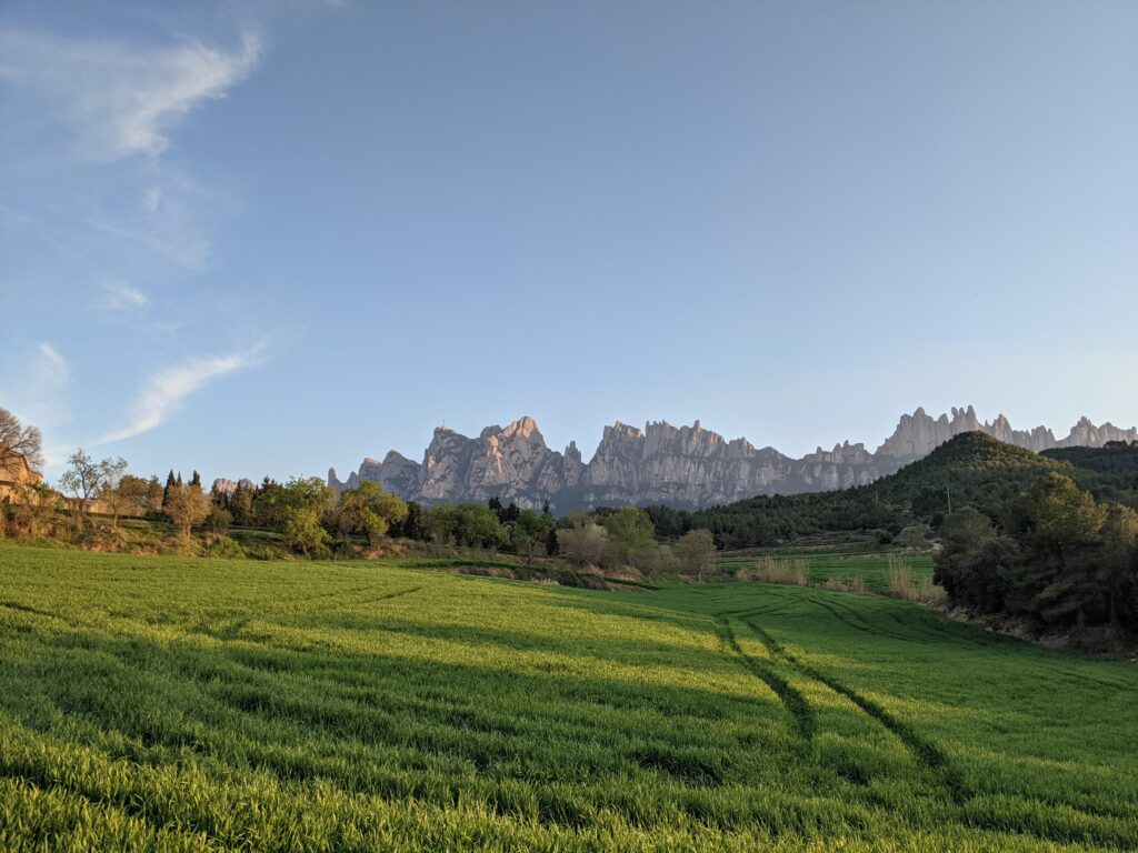 Serene landscape with green grass open field trees and distant rock formations under blue sky wallpaper