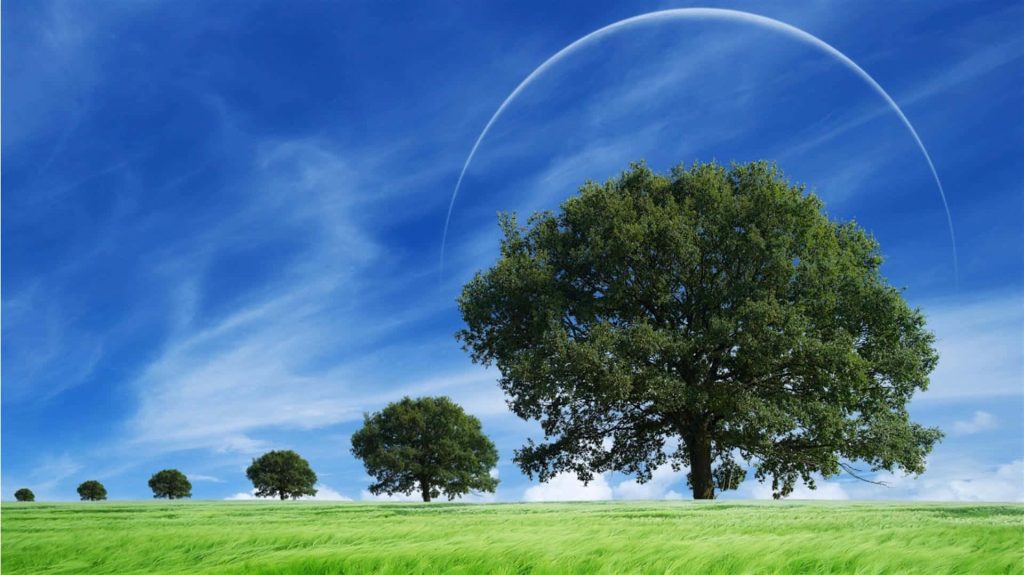 Vibrant landscape wallpaper with row of trees in green field framed by translucent white arc
