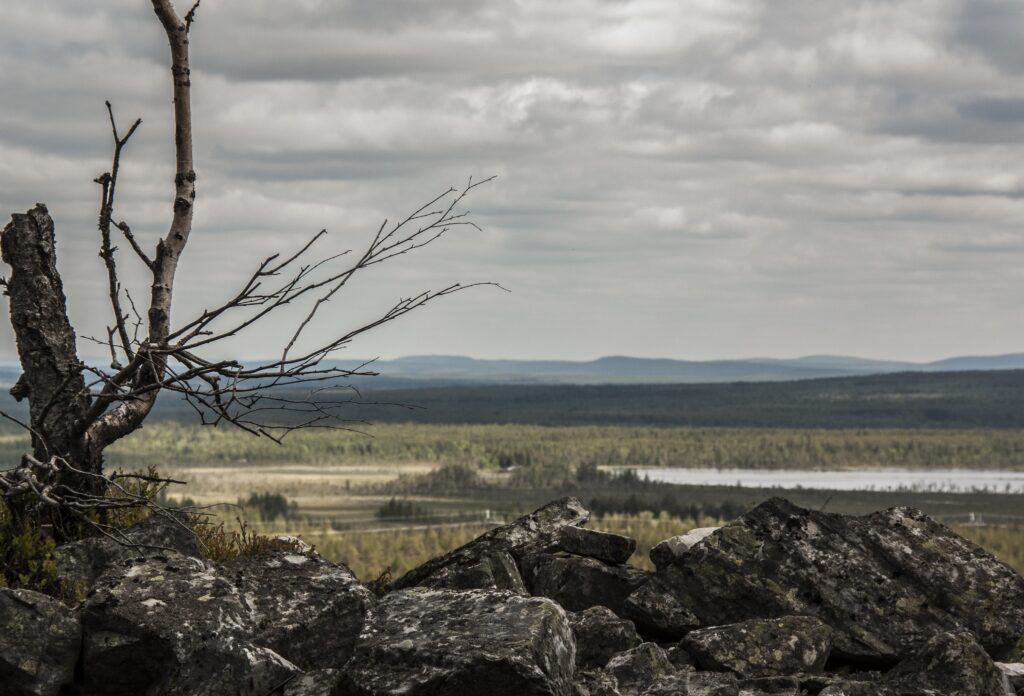 Serene Lapland landscape with rugged stones tree woodlands river and cloudy sky wallpaper background