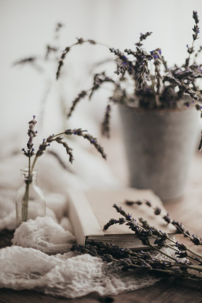Tranquil Background: Soft-Focus Lavender Flowers & Open Book Wallpaper
