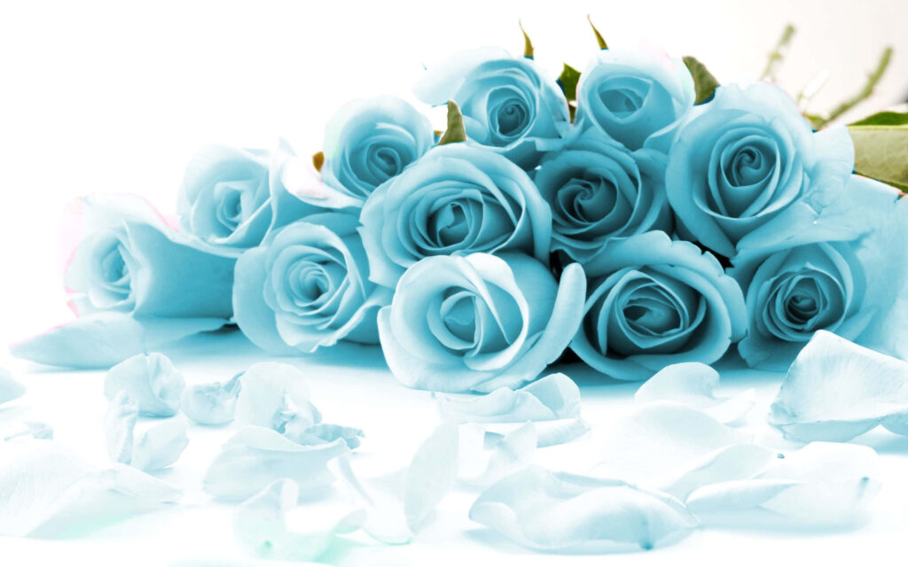 Serene Light Blue Roses Arrangement with Delicate Petals - Romantic Scene Wallpaper