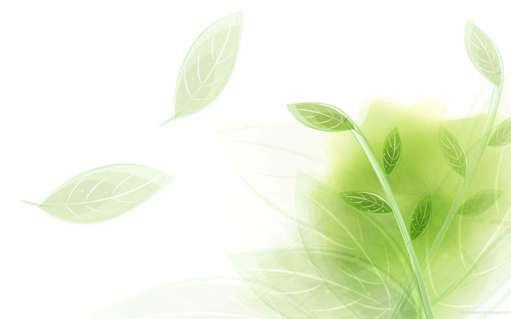 Tranquil Light Green Leaves Wallpaper for a Calming Ambiance