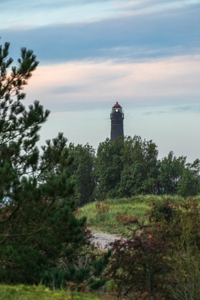 Tall lighthouse amid lush green trees under pastel sky serene natural wallpaper background