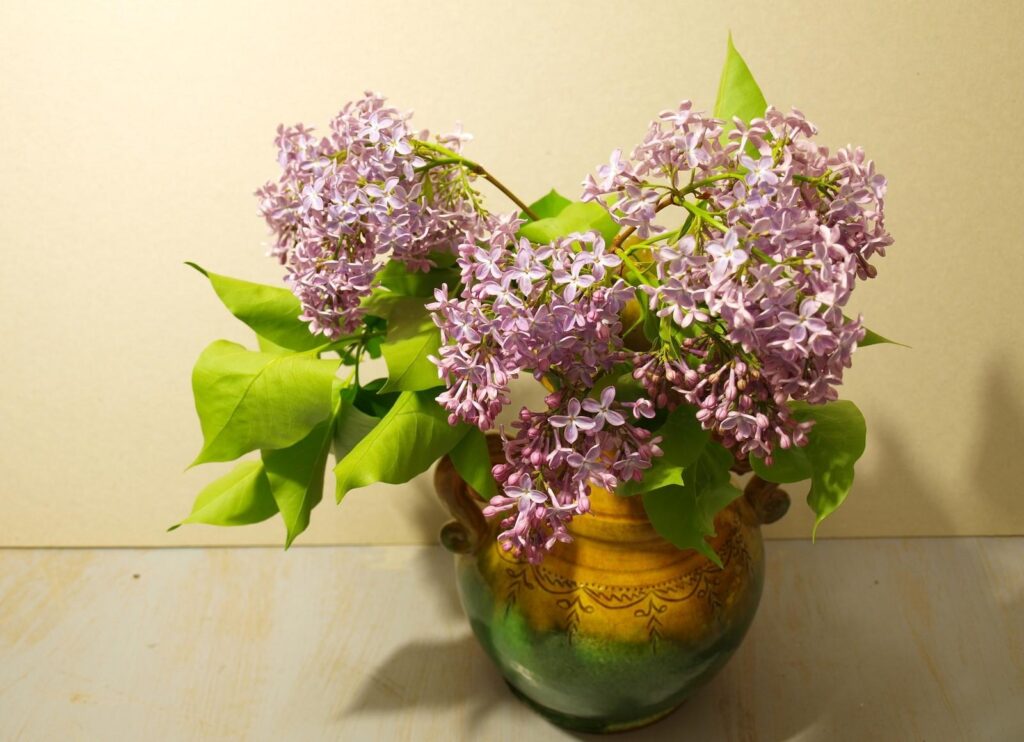 Serene Lilac Blossom Wallpaper in Ornate Vase – Spring Beauty Background