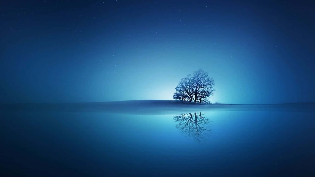 Silhouetted lone tree under starry night sky reflected in calm water minimalist desktop wallpaper