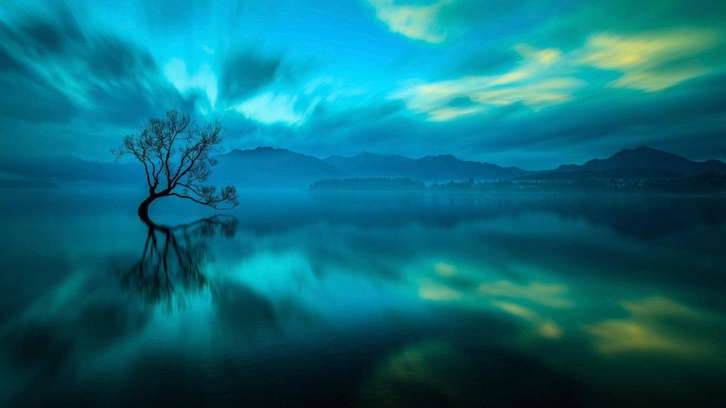 Solitary Lone Tree of Wanaka New Zealand reflected in calm lake under moody deep blue skies Wallpaper